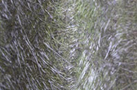 Lawers fibreglass roof work